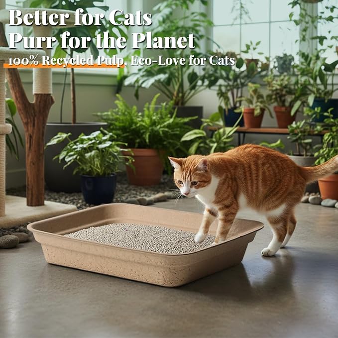 10 Count - Disposable Litter Box for Kitty Cats, Thick & Leak-Proof, Eco-Friendly Travel & Home Litter Pan, No-Scrub for Cats