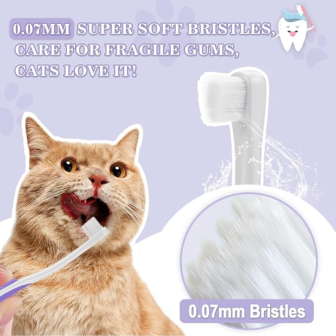 Cat Toothbrush Complete Kitty Dental Care Kit + 6% nHA Pet Dual-Enzymatic Toothpaste