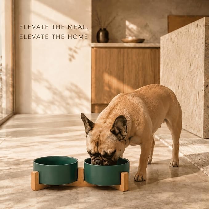 SPUNKYJUNKY Ceramic Dog and Cat Bowl with Wood Stand Non-Slip Matte Glaze Weighted Food Water Set for Cat Medium Dog 28.7 OZ