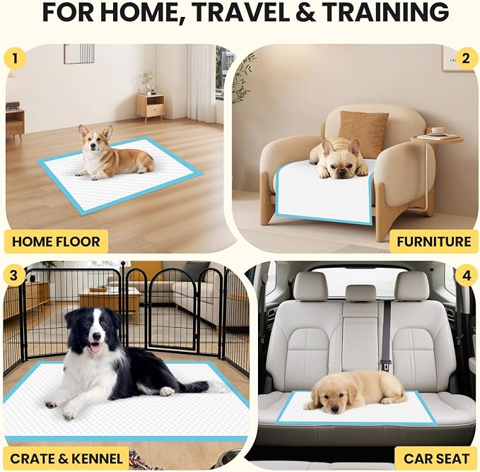 Extra Large Puppy Pads 50 Count | 30x26 Inch XL Potty Pads for Dogs | Super Absorbent Disposable Dog Pads Heavy Duty | Piddle Pads for Pet Training