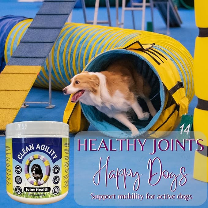 Joint Health for Dogs - Most Effective Hip and Joint Supplement Available - Formulated with Veterinarians, Glucosamine, Chondrointin, MSM, Turmeric (Soft Chew)