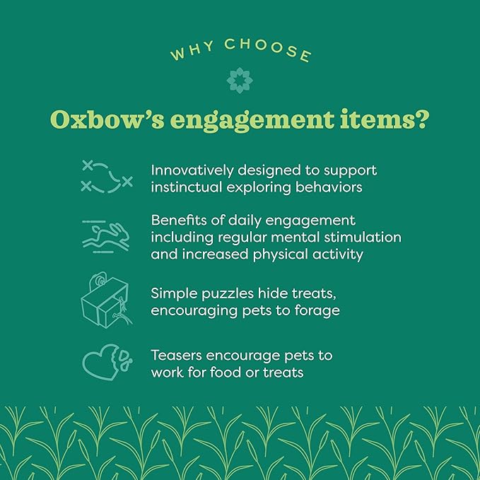 Oxbow Enriched Life Lettuce Forage Mat, Foraging Mat for Rabbits, Guinea Pigs, and Hamsters, Promotes Mental Stimulation and Foraging, Safe Enrichment Accessory, Small Pet Food Puzzle