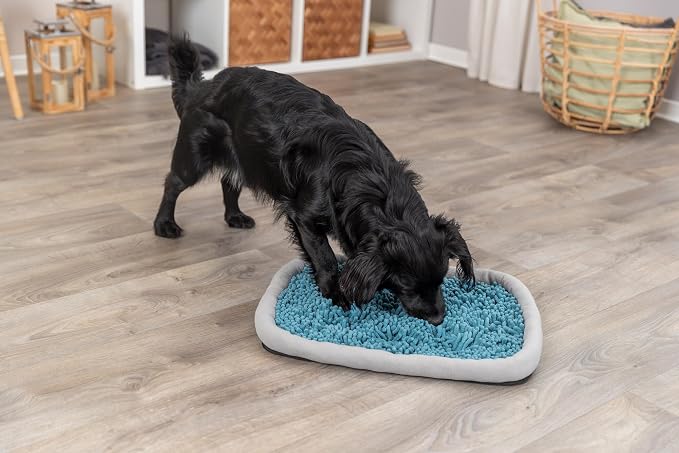 TRIXIE Snuffle & Seek Plate, Sniff Mat, Interactive Feeding Game, Slow Feeder, Level 1 Enrichment Puzzle for Dogs & Cats (Pack of 2)