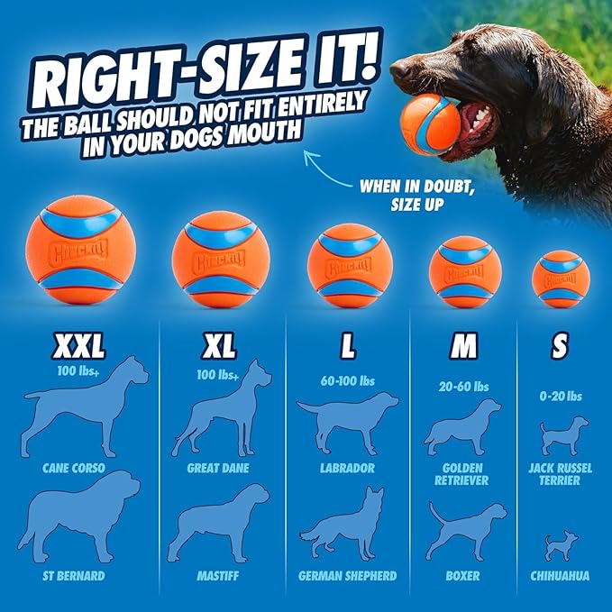 Chuckit! EcoFetch Dog Ball Launcher - 18" with Medium (2.5") Dog Fetch Ball Thrower, for Dogs 20-60 Pounds, Made in USA