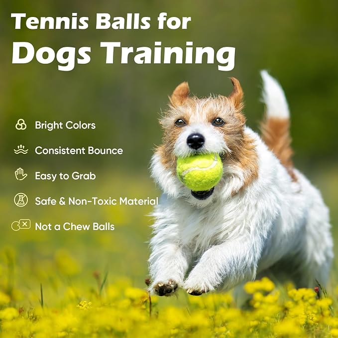 Treeroot 16/30/40/60 Pcs Tennis Balls, High Elasticity Tennis Balls Bulk, Comes with a Portable Mesh Bag, Tennis Ball for Dogs, Suitable for Beginner Training Ball, Durable & Bounce