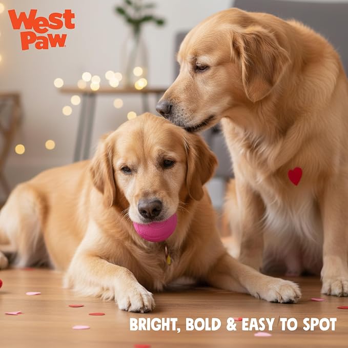 WEST PAW Boundr Ball Dog Fetch Toy – Bouncing Toys for Dogs, Fetch, Catch, Chewing, Play – Floatable, Recyclable Balls – Small Hotpink/Glow 2-Pack
