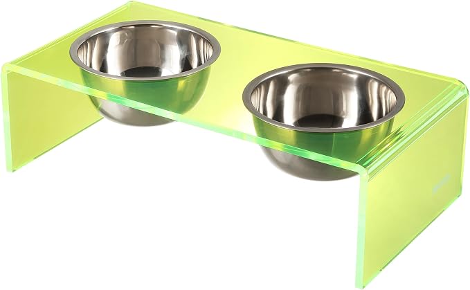 DBL2000G Keaton 5" Small/Medium Modern Acrylic Rectangular Elevated Pet Feeder with 20oz 2-Stainless Steel Bowls, Green/Chrome