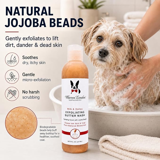 Warren London Exfoliating Butter Wash – Milk & Honey Dog Shampoo, 1-Gallon Pro Size | Cleans, Exfoliates & Deep-Conditions | Jojoba Beads Remove Dandruff & Itch | Dilutable, Non-Oily Shine | USA Made
