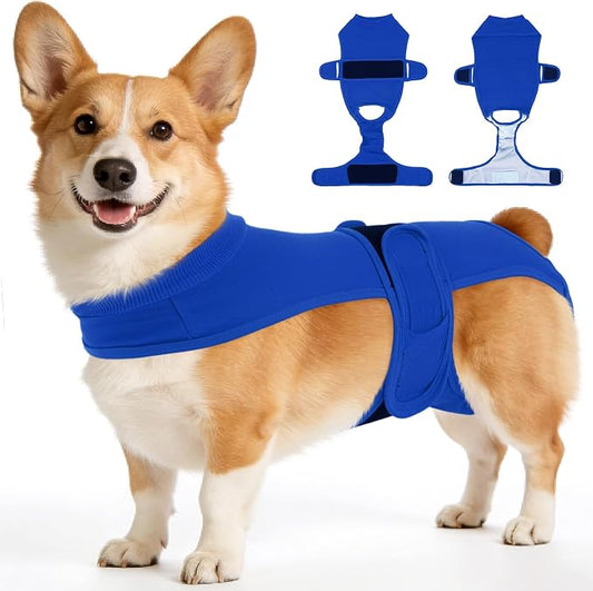 Dog Diapers for Female Dogs, Washable Reusable Female Dog Diapers, Leak Proof Doggie Underwear Sanitary Pants for Heat Cycle, Incontinence and Puppy Training, Adjustable Belly Bands - Blue L