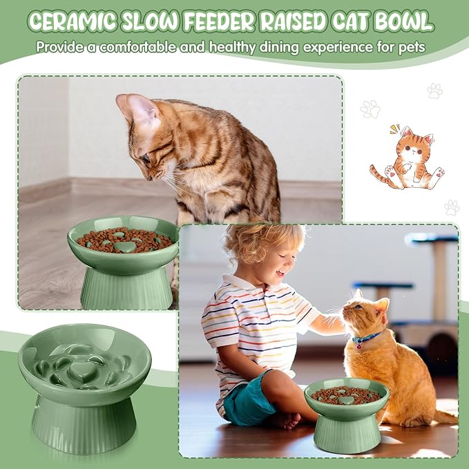 Tioncy 1 Pcs Raised Cat Slow Feeder Bowl Ceramic Elevated Cat Dog Food Bowl No Spill High Edge for Dry Wet Food and Water Easy to Clean, Dishwasher Safe (Sage Green)