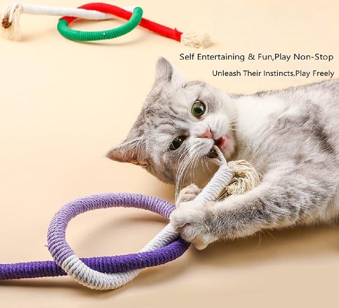 Cat Toys Kitten Toys Assortment, 12 Pack Interactive Cat Toy Set with Catnip Fish, Silvervine Sticks, Bell Balls, Plush Mice, and Woven Rings for Indoor Cats Boredom Relief and Teeth Cleaning