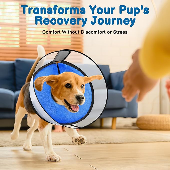 BARKLESS Dog Donut Collar, 2-in-1 Inflatable Dog Collars for After Surgery to Stop Licking Wounds, Patented Protective Donut Cone with High Shield for Small and Medium Pets (Blue, M+)