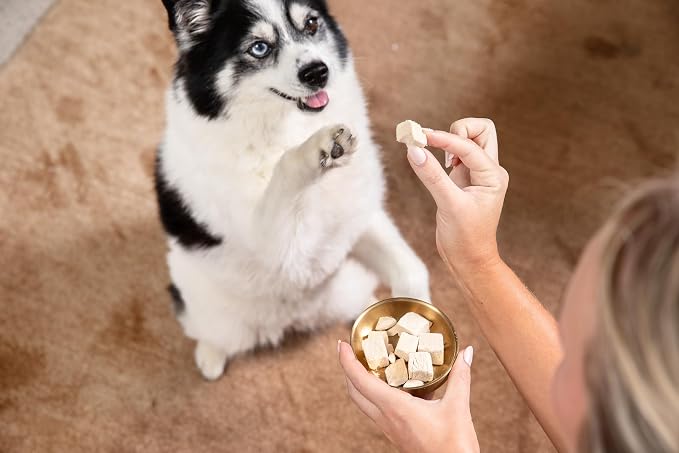 HOLI Freeze Dried Chicken Breast Dog Treats. Single Ingredient Freeze Dried Chicken Treats for Dogs. Healthy All Natural Dog Snack Made from 100% Breast Meat. High Value Training Treat. 1.75 oz