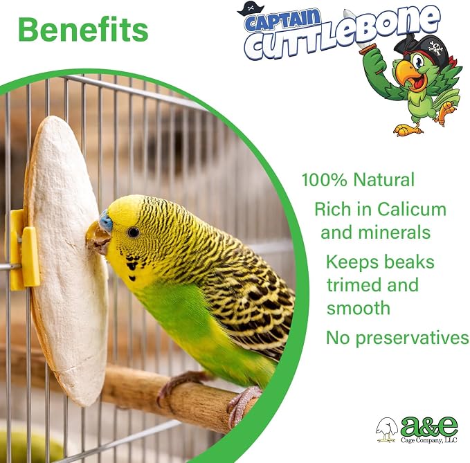 Captain Cuttlebone AE9011 Natural Bird Cuttlebone – 5lb Bulk Box of 4–6" Pieces – Calcium Supplement for Parakeets, Budgies, Finches, Canaries, Lovebirds & Small Birds
