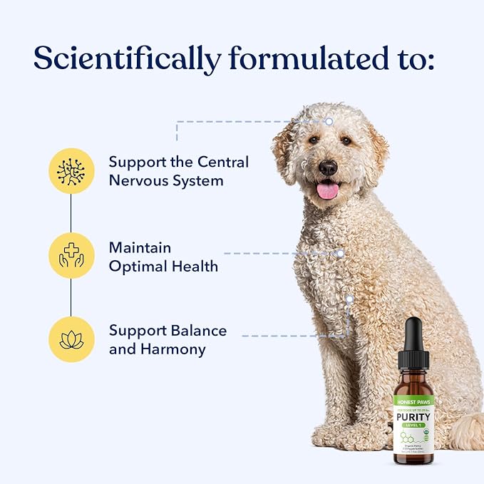 Honest Paws Hemp Oil for Dogs - Natural Hemp Seed Oil Calming Purity Drops for Dogs - Rich in Omega 3 6 9 to Promote Healthy Bones, Joint Support, Relaxation, Managing Normal Stress - Made in The USA