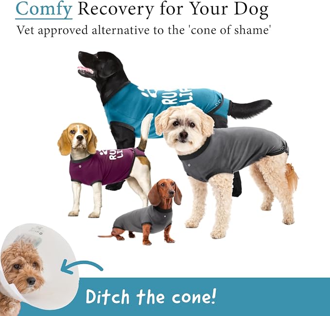 BellyGuard Dog Surgery Recovery Suit, Post-Op Dog Recovery Suit for Female Spay & Male Neuter, Comfy Onesie for Pets, Surgical Body Cover for Canine Healing Support