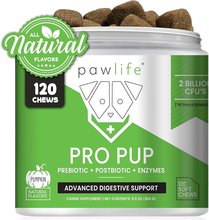Probiotics for Dogs - Diarrhea Relief, Gut Health Support, Constipation Relief, Digestive Health Support - Vet Recommended Dog Probiotics - 120 Soft Chews that Dogs Love - Pumpkin Flavor