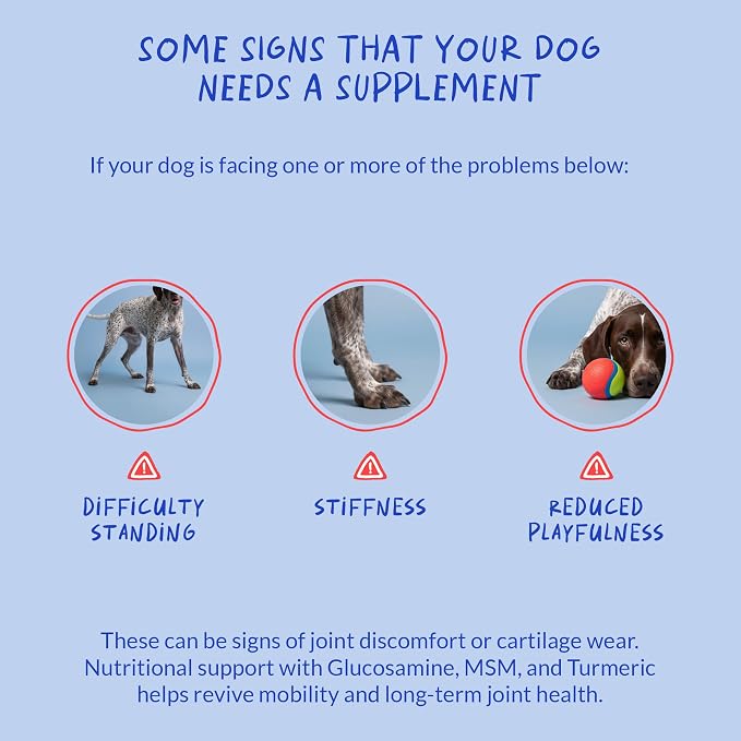 Hip & Joint for Dogs - Collagen, Glucosamine & Green Lipped Mussel | With Collagen, Glucosamine, Fish Oil & Green Lipped Mussel. Supports joint mobility & eases inflammation in dogs.