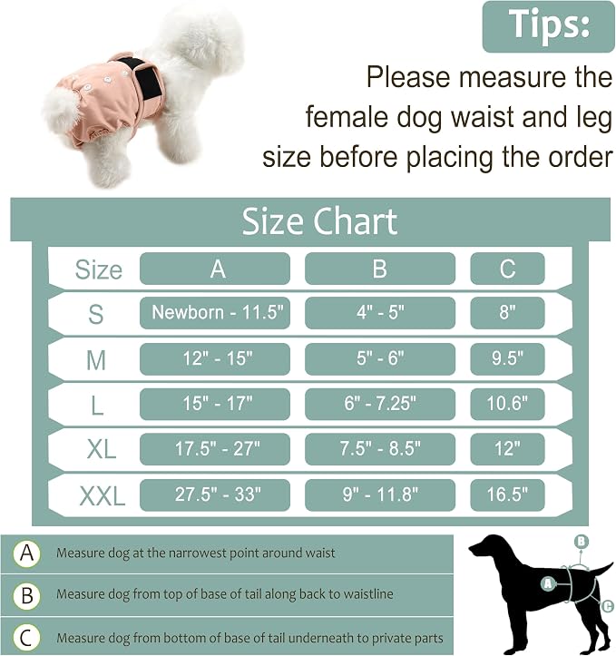 Female Dog Diapers - Premium Reusable Diapers for Doggie in Heat - Highly Absorbent Dog Diapers Female for Pet Incontinence with Adjustable Snaps Yellow, XXL