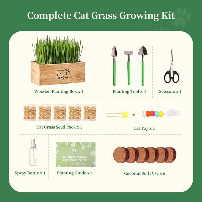 Cat Grass Kit for Indoor Cats - 5 Harvests Cat grass Growing Kit with Wooden Planter, 5 Seed Packets, 6 Soil Disks, Spray Bottle, Tools & Scissors - Natural Hairball Control for Nipping & Nibbling