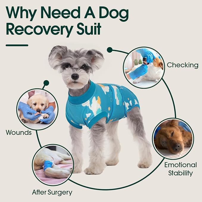 Kuoser Recovery Suit for Dogs After Surgery, Dog Surgical Recovery Suit Female Male Spay Neuter, Anti-Licking Dog Onesie for Abdominal Wounds Skin Disease, Pet Surgery Bodysuit Cone Alternative, XS