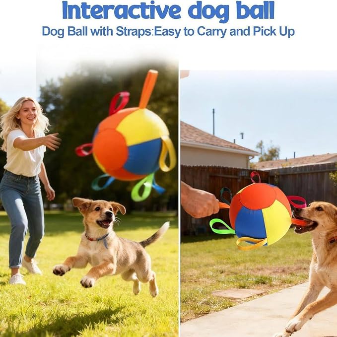 18" Herding Ball for Dogs for Australian Shepherd | Border Collies, Australian Cattle, German Shepherds, Horse, Sheepdogs, Dog Birthday Toy