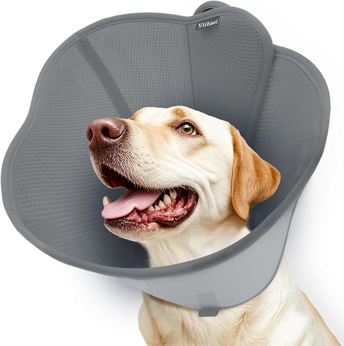 Upgraded Dog Cone Collar for Large Medium Dogs, Soft Dog Cone with Double-Layer Design, Adjustable Pet Recovery Collar for Dogs After Surgery, Elizabethan Collar (M, Grey)