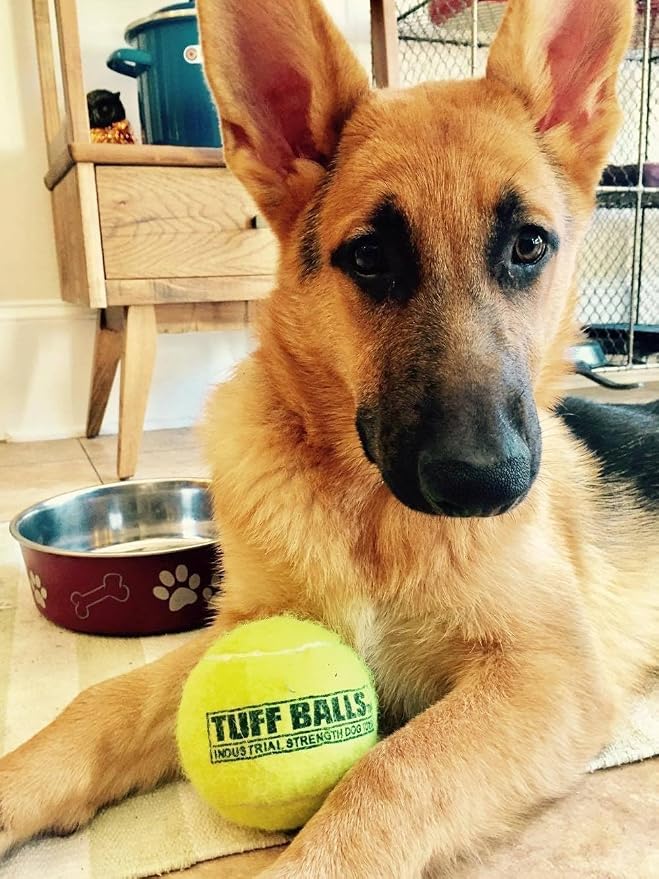 PetSport Giant Tuff Ball - Giant Tennis Balls for Dogs, Great for Boredom & Aggressive Chewers, Toy for Large Dogs, Certified Non-Toxic, Wonâ€™t Wear Down Teeth - 4"(Pack of 12)