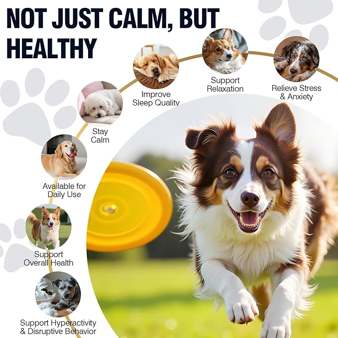 Dog Calming Chews 200ct, Calming Chews for Dogs - Anxiety and Stress Relief Treats Melatonin Bites Sleep Calm Dog - Separation, Fireworks, Thunder, Barking for Dogs - Chicken