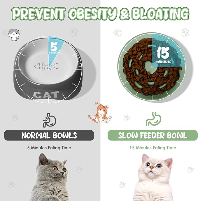 Tioncy 1 Pcs Raised Cat Slow Feeder Bowl Ceramic Elevated Cat Dog Food Bowl No Spill High Edge for Dry Wet Food and Water Easy to Clean, Dishwasher Safe (Sage Green)