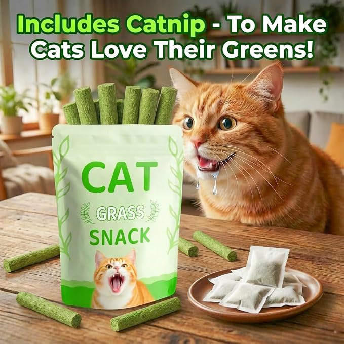 Cats Toy 18Pcs Cat Grass Treat Freeze Dried Catnip Stick Kitten Chew for Removal Hairballs Kitty Dental Care for Cleaning Teeth Indoor Snack
