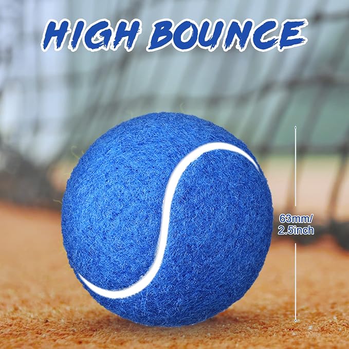 Vinsot 24 Pack Tennis Balls Bulk, Standard Pressure Balls for Training Playing Player Beginner Youth, Exercise Ball for Pet Dog, 2.5 Inch(Blue)