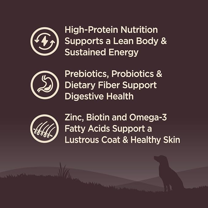 Wellness CORE Adult Dry Dog Food, Grain Free Kibble, Natural, High Protein, Turkey and Chicken Recipe, 4 lb Bag
