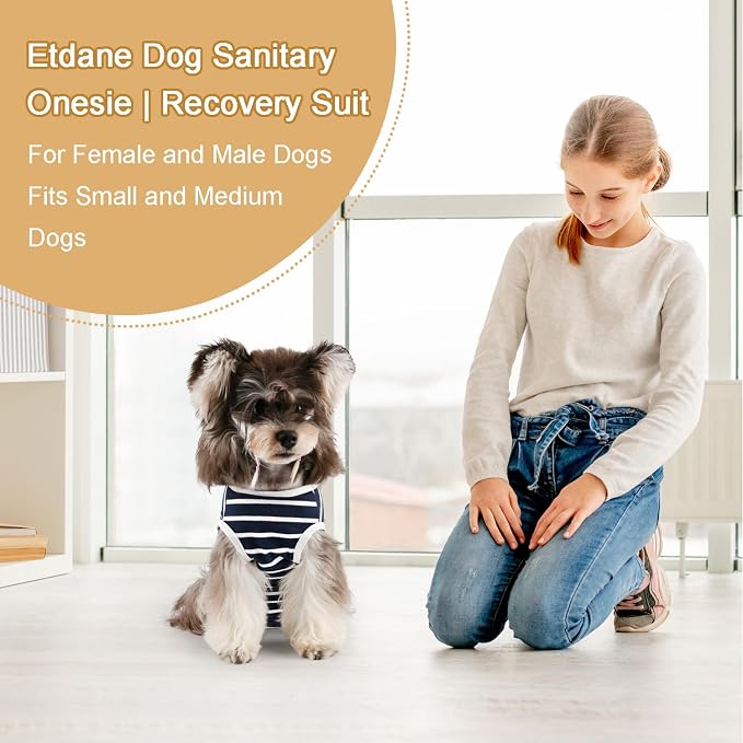 Etdane Dog Diapers Sanitary Panties Physiological Period Shirts Surgical Recovery Suits for Male and Female Dogs (Large, Blue Stripe)