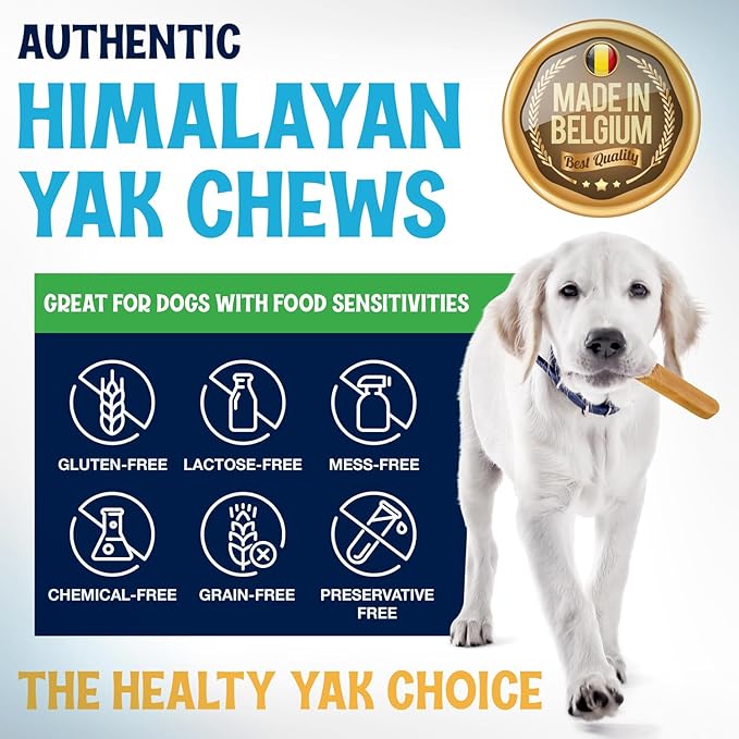 Himalayan Yak Cheese Chews - Natural Dog Bones - Yak Cheese Himalayan Dog Chews – Long Lasting Himalayan Dog Cheese Chew - Yak Chews for Large, Medium and Small Dogs (Large, 5 Pack)