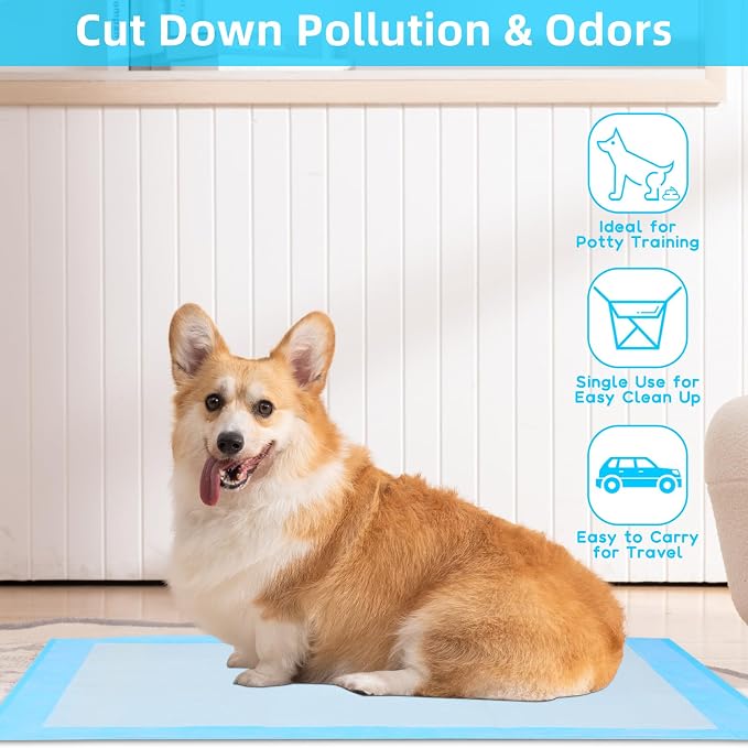 FluffyDream Super Absorbent Waterproof Dog and Puppy Pet Training Pad, Housebreaking Pet Pad,Blue (30"X36"(100PCS))