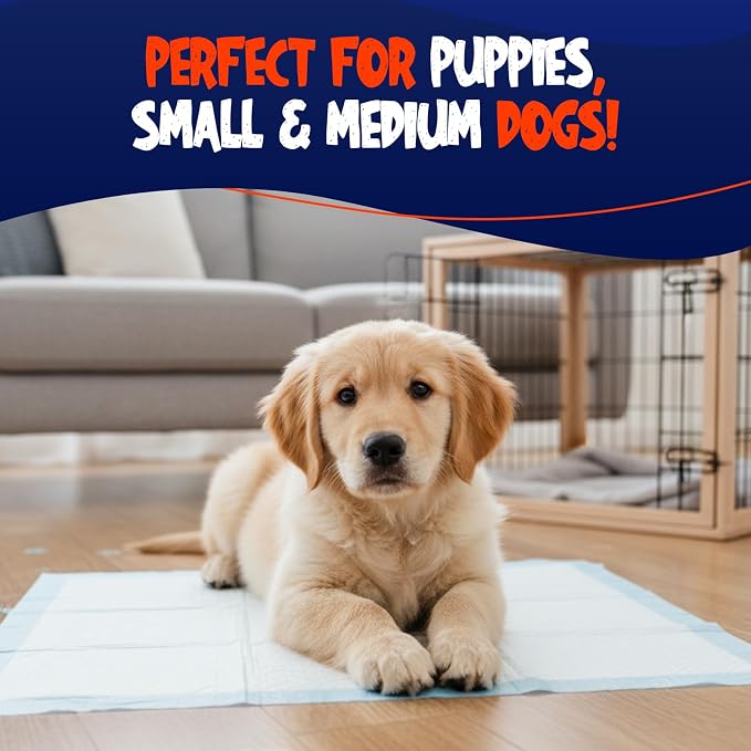 BPG Ultra Absorbent Pet & Puppy Pads – 50 Count 22"x22" Pee Pads for Dogs, Disposable Leak Proof Dog Training Pads, Quick Drying Underpads, Puppy Essentials for House Training - Brooklyn Pet Gear