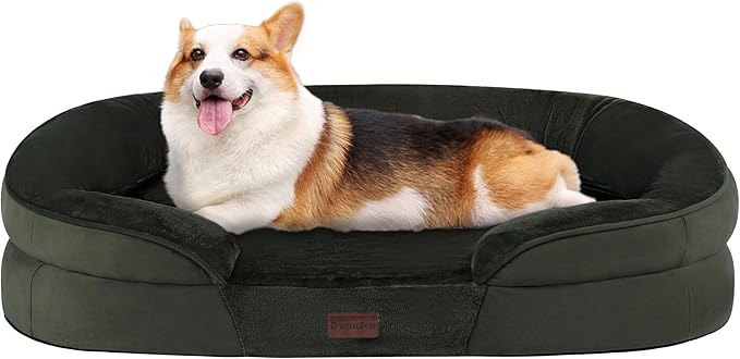 Dwanton Orthopedic Dog Bed for Medium Dogs with Gel Memory Foam, Waterproof Dog Sofa, Washable Pet Bed with Four Sided Bolster Cushion, Removable Cover & Non-Slip Bottom, 36", Green