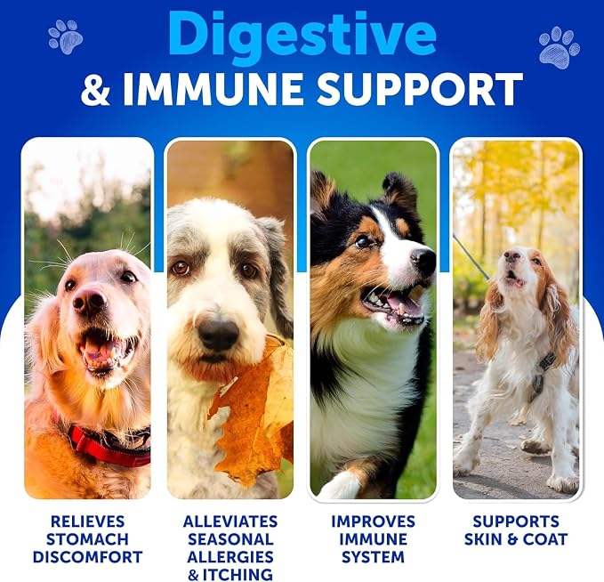 Dog UTI Treatment + Probiotic Chews Bundle - Cranberry Supplement for Bladder & Kidney Support - Probiotics & Prebiotics for Gut Health, Immunity, Yeast Balance, Reduces Diarrhea & Allergies