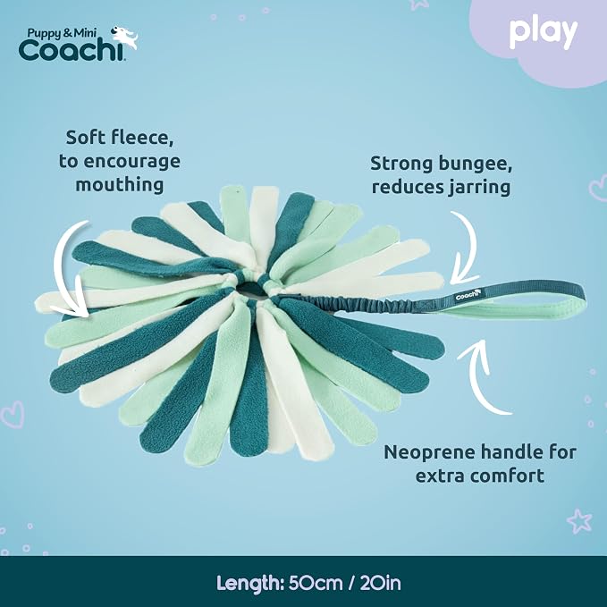 Coachi Puppy & Mini Tuggi Spider - Great for Tug & Play, Strong Dog Toy, Stretchy Bungee Handle, Reward Training, Recall, Agility, Interrupt Biting & Chewing. Suitable for Small Dogs & Puppies