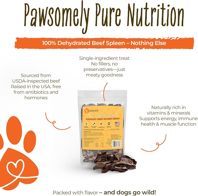 Pawsomely Healthy Beef Spleen Dog Treats – 100% Single Ingredient Air-Dried Jerky – No Fillers or Additives, Grain-Free – Rich in Iron & B12 – Made in USA, 3 oz