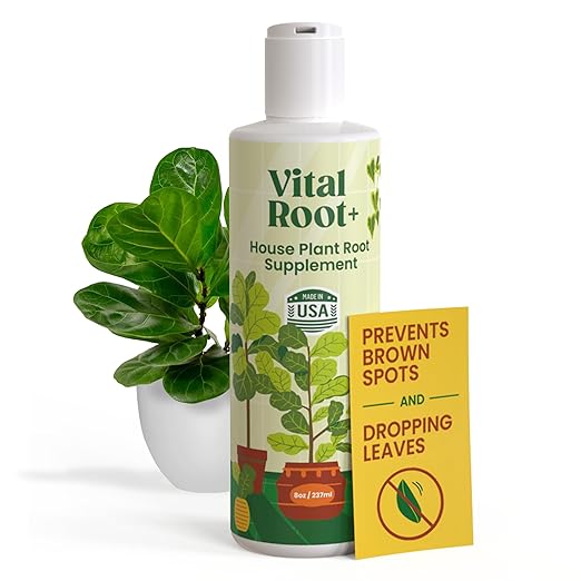 Root Rot Repair & Plant Transplant Shock Recovery – Liquid Supplement for Indoor Plants, Fiddle Leaf Fig, Monstera & Pothos | Heals Roots, Prevents Brown Spots & Leaf Drop, 8 oz – Vital Root+