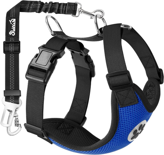 SlowTon Dog Seat Belt Harness for Car, Dog Car Harness Adjustable Mesh Breathable & Dog Seatbelt Safety Tether with Elastic Bungee for Small Medium Large Pets(Blue, Double Clip, XS)