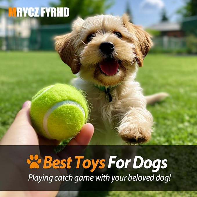 30/40 Pack Training Tennis Balls, Pet Dog Playing Balls, Practice Tennis Balls with Mesh Bag for Transport and Beginner Training