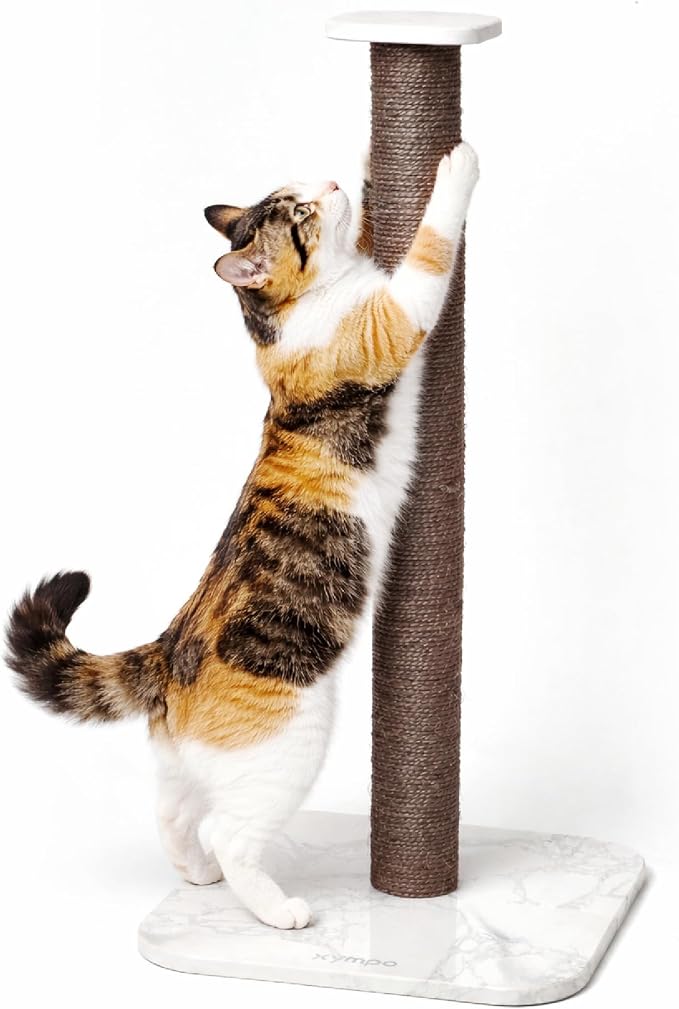 xympo 32" Sisal Scratching Post