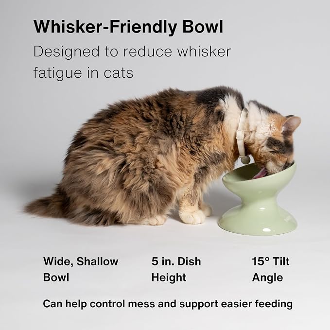 RAWRY Raised Ceramic Cat Bowl, Elevated Tilted Cat Bowl, Wide Shallow Cat Dish, Whisker Fatigue Cat Bowl, Dishwasher & Microwave Safe for Wet or Dry Food, Cats & Small Dogs, 12 oz (Plum)