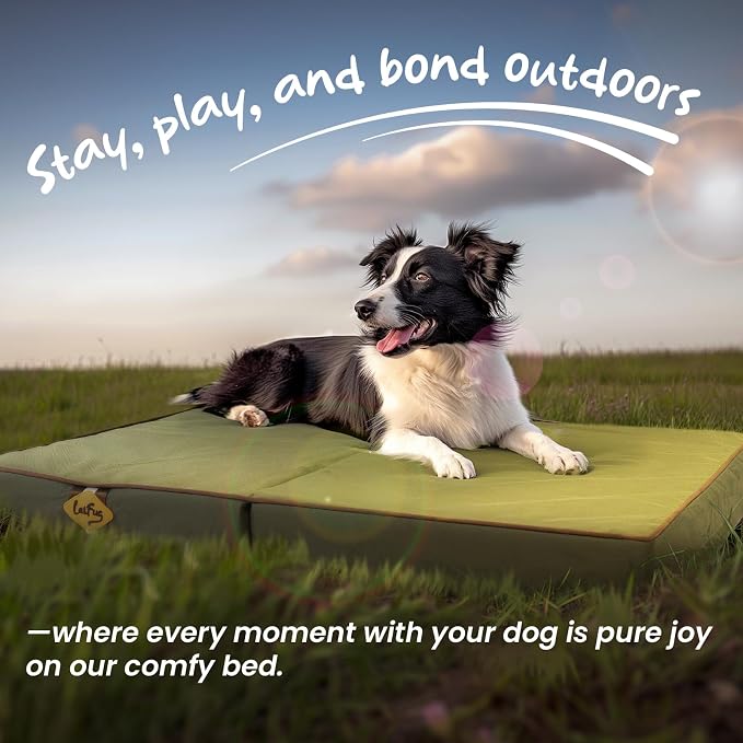 Laifug Foldable Waterproof Dog Bed for Large Dogs - Outdoor Orthopedic Dog Bed with Washable Removable Cover, Pet Mattress with Handles, Army Green, (44 x 32 x 3.5, inches)