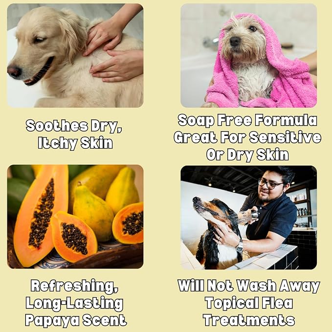 Itch Relief Oatmeal and Aloe Pet Shampoo for Dogs & Cats 1 Gallon | Anti-Itch & Deodorizing Formula | Soothes and Moisturizes Dry Itchy, Sensitive Skin
