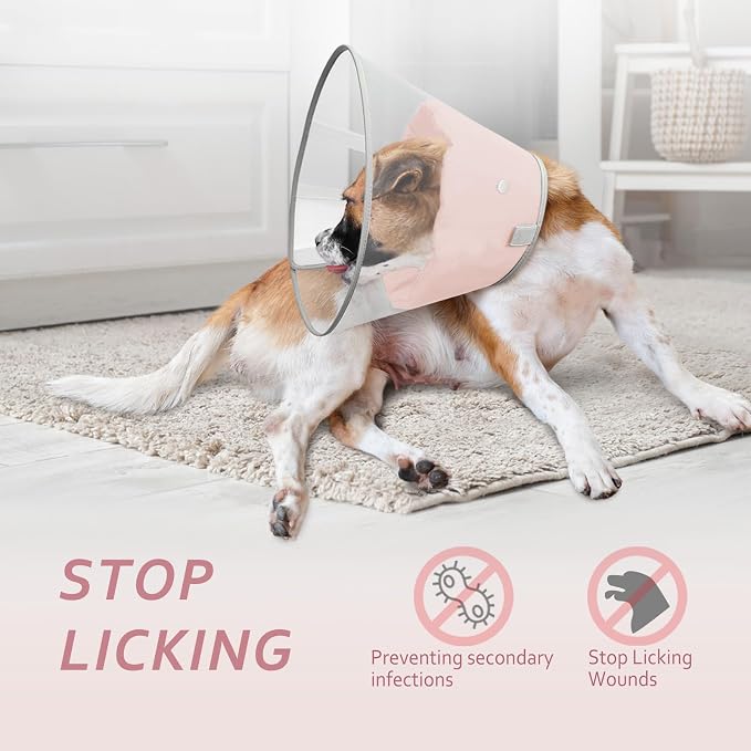 Dog Cone Collar with Snap-on Detachable Soft Liner, Lightweight Transparent Elizabethan Alternative to Stop Licking, for Spay Neuter Surgery Recovery, for Medium Large Small Dogs (Pink,XL)