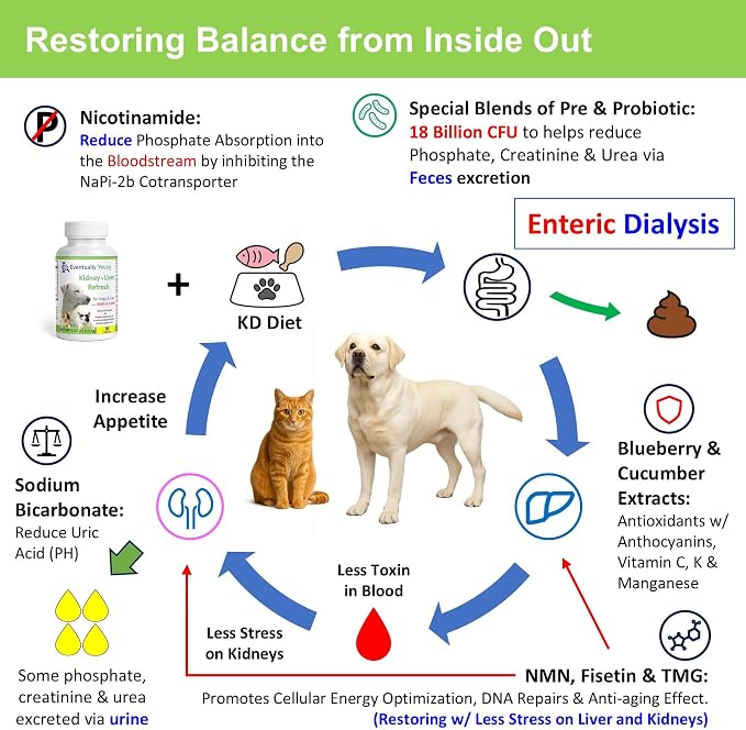 Cat Kidney Support Restore 4 Cats Dogs: 12-in-1 Benefits Super Phosphate Binder w/NMN, Fisetin, Antioxidants, Pre & Probiotic for Healthy Kidney, Liver Functions Anti-Aging & Longevity NAD+ (60 Caps)